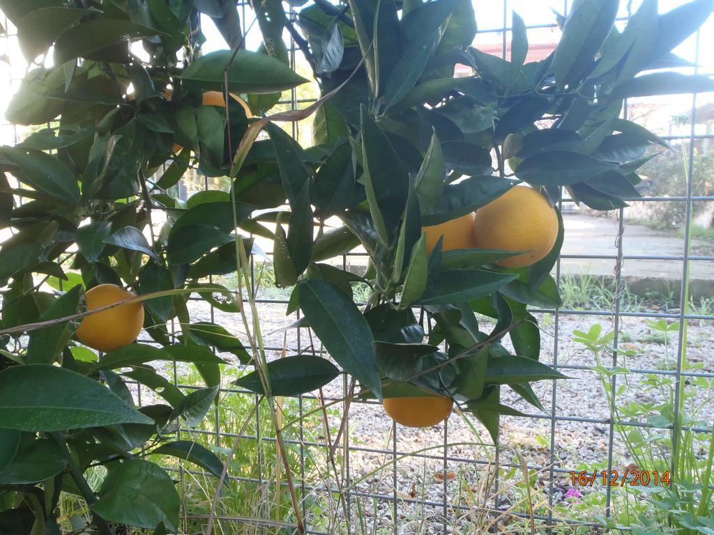 Sirin Pension Fethiye Exterior foto