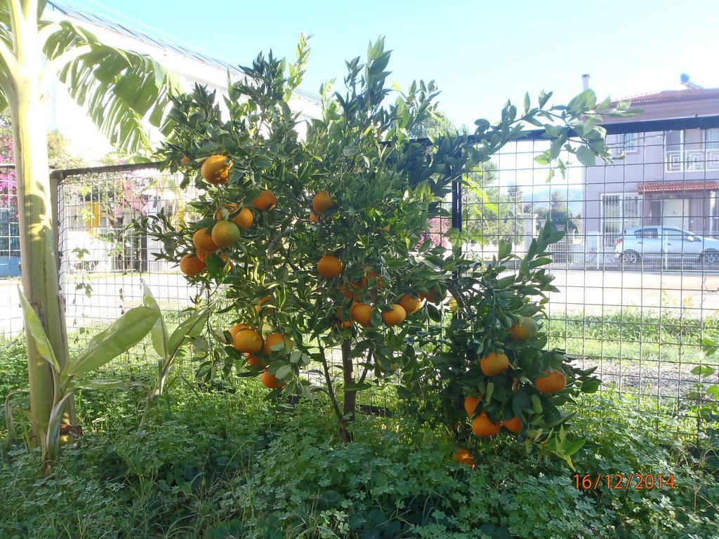 Sirin Pension Fethiye Exterior foto