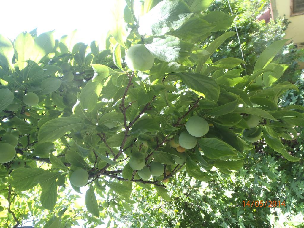 Sirin Pension Fethiye Exterior foto